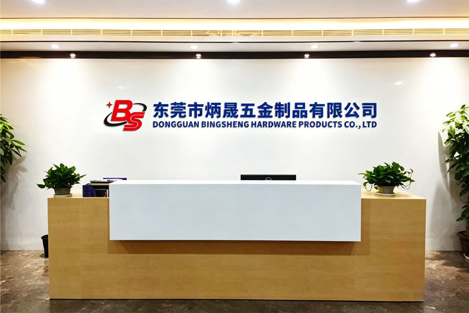 Dongguan Bingsheng Hardware Products Co., Ltd